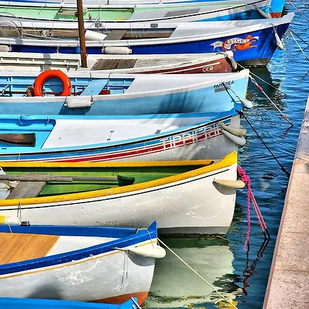 B バルドリーノ